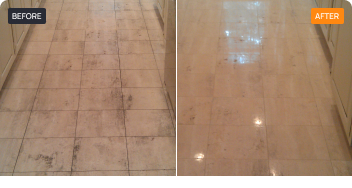 Floor Restoration