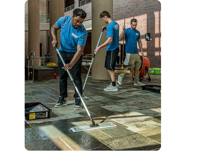 Services for All Types of Surfaces 